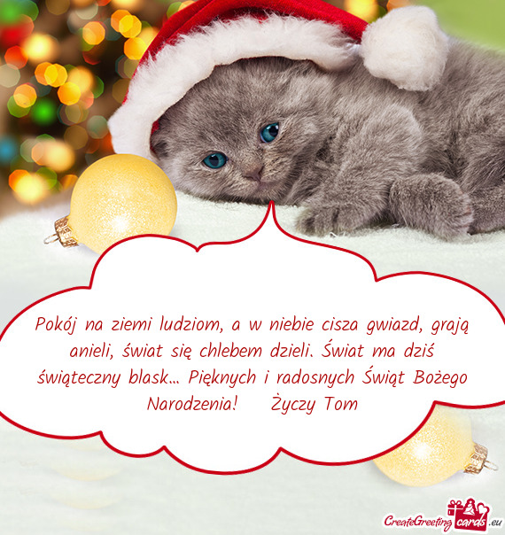 Ma dziś świąteczny blask… Pięknych i radosnych Świąt Bożego Narodzenia! Życzy Tom