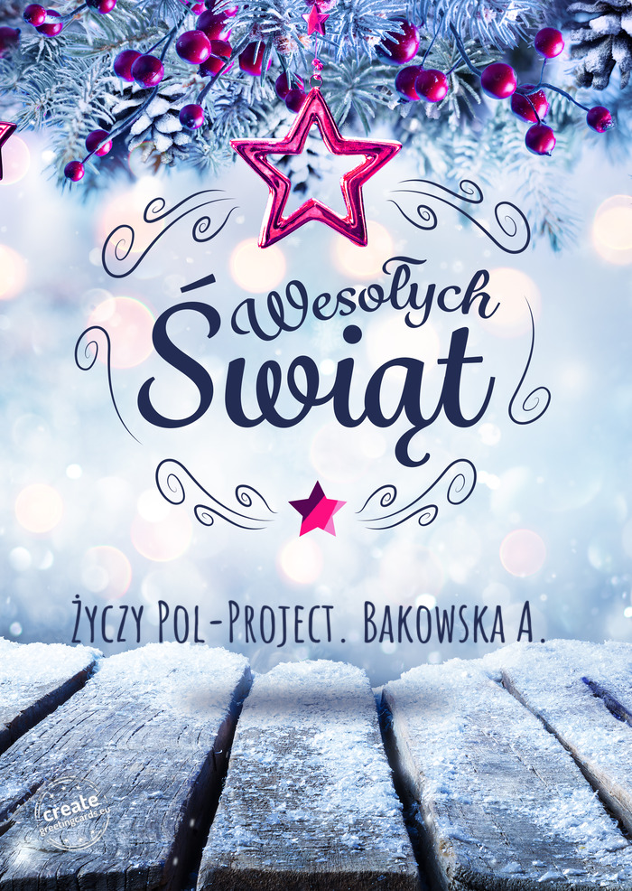 Pol-Project. Bakowska A.