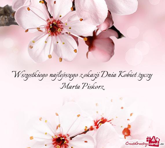 Wszystkiego najlepszego z okazji Dnia Kobiet życzy Marta Piskorz