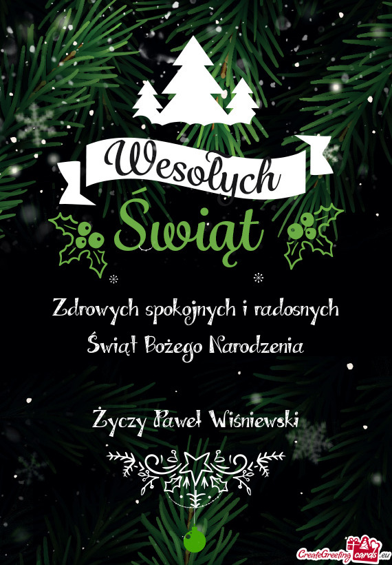 Zdrowych spokojnych i radosnych Świąt Bożego Narodzenia Paweł Wiśniewski