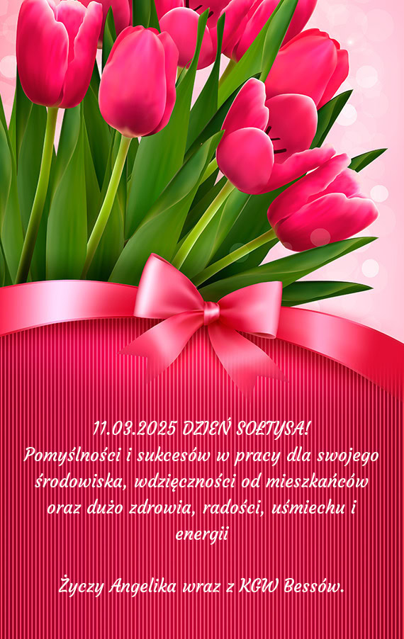 11.03.2025 DZIEŃ SOŁTYSA