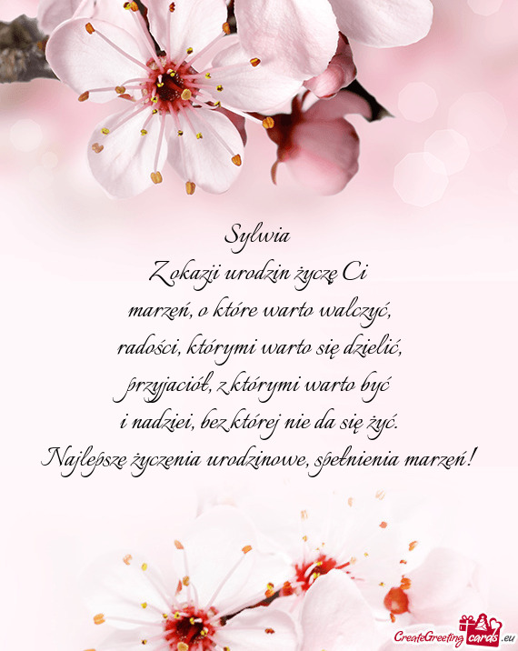 Sylwia Z okazji urodzin życzę Ci marzeń