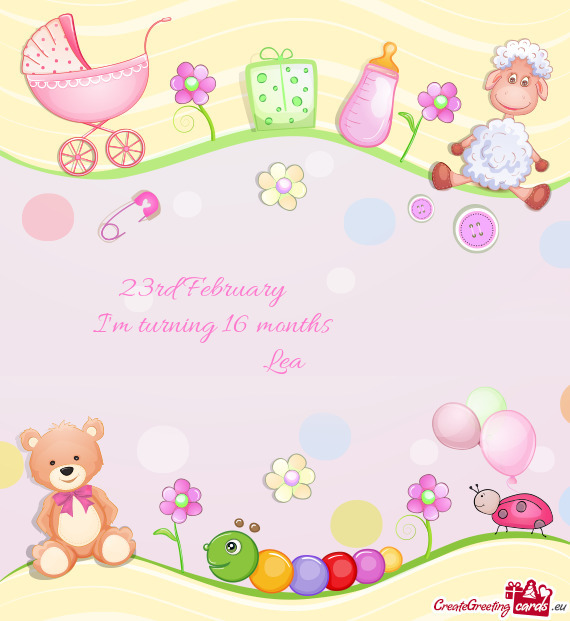 23rd February