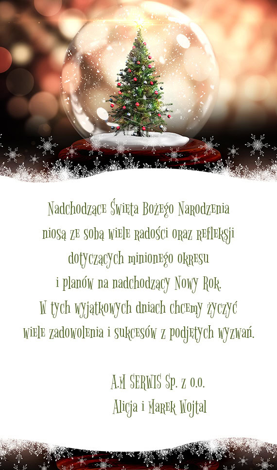 A.M SERWIS Sp. z o.o