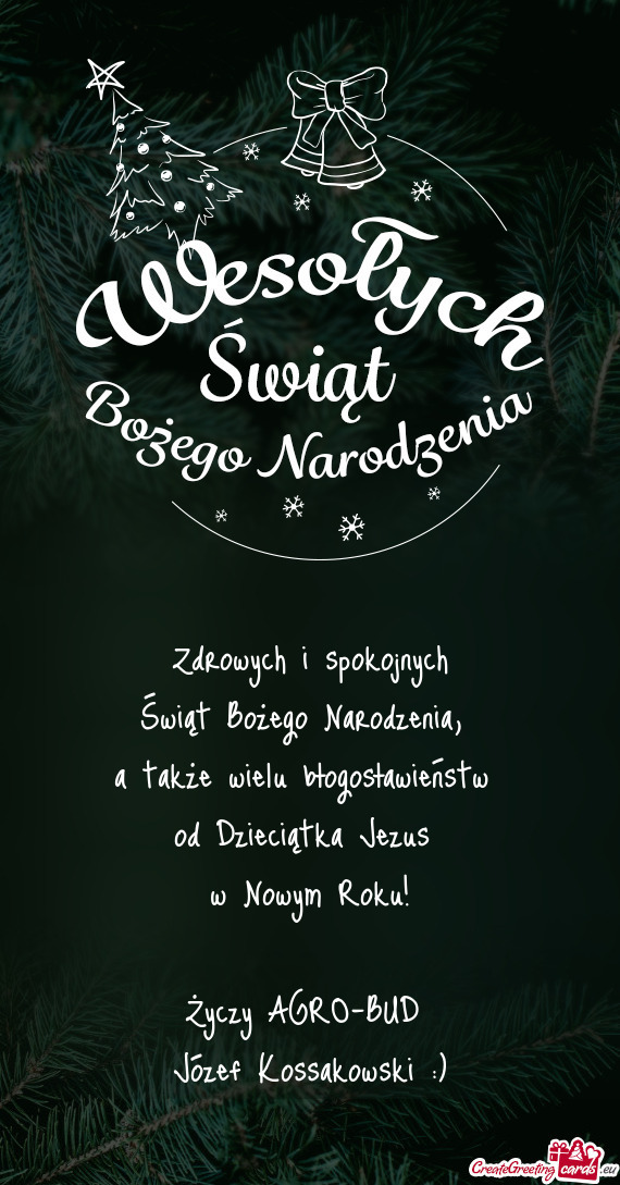 A także wielu błogosławieństw od Dzieciątka Jezus w Nowym Roku! AGRO-BUD Jó