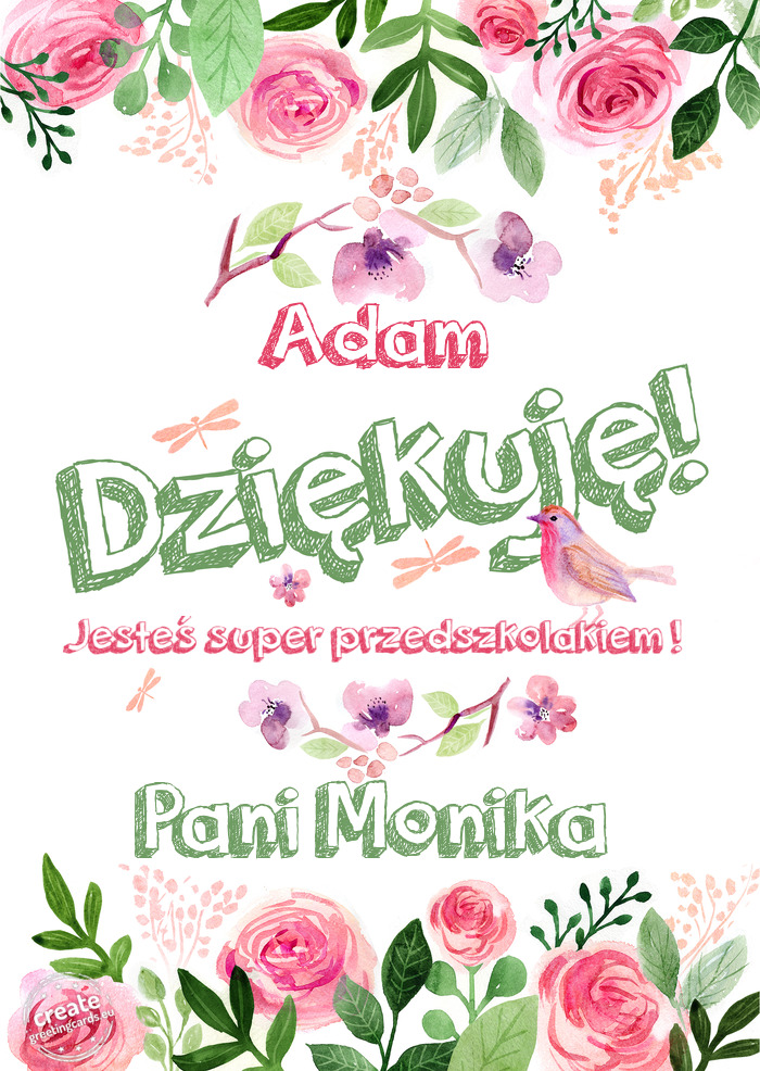 Adam Dziękuje Jesteś super przedszkolakiem ! Pani Monika