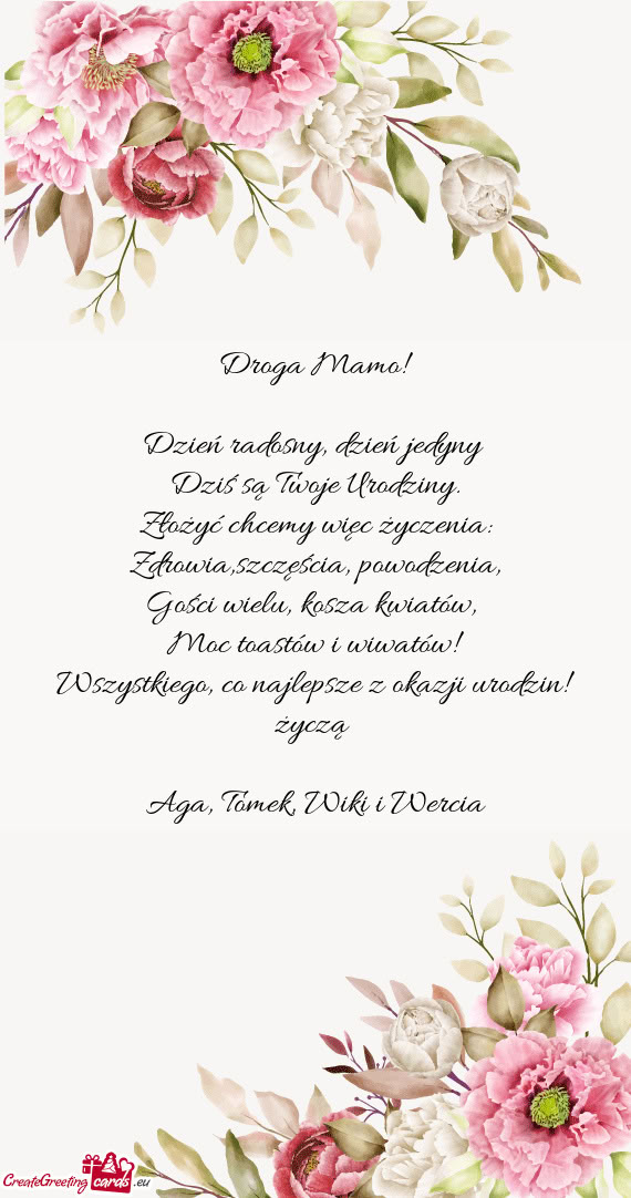 Aga, Tomek, Wiki i Wercia