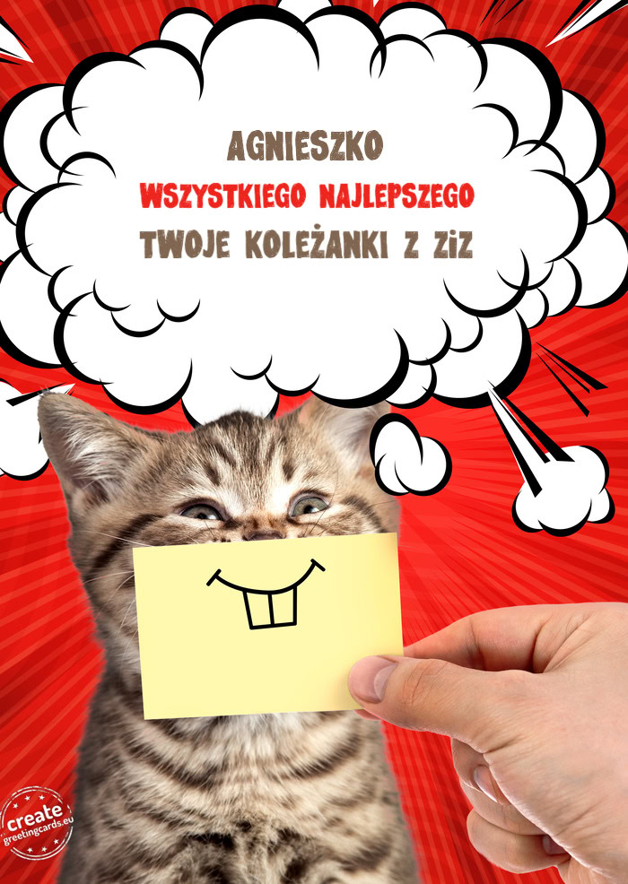 AGNIESZKO WSZYSTKIEGO NAJLEPSZEGO TWOJE KOLEŻANKI Z ZiZ