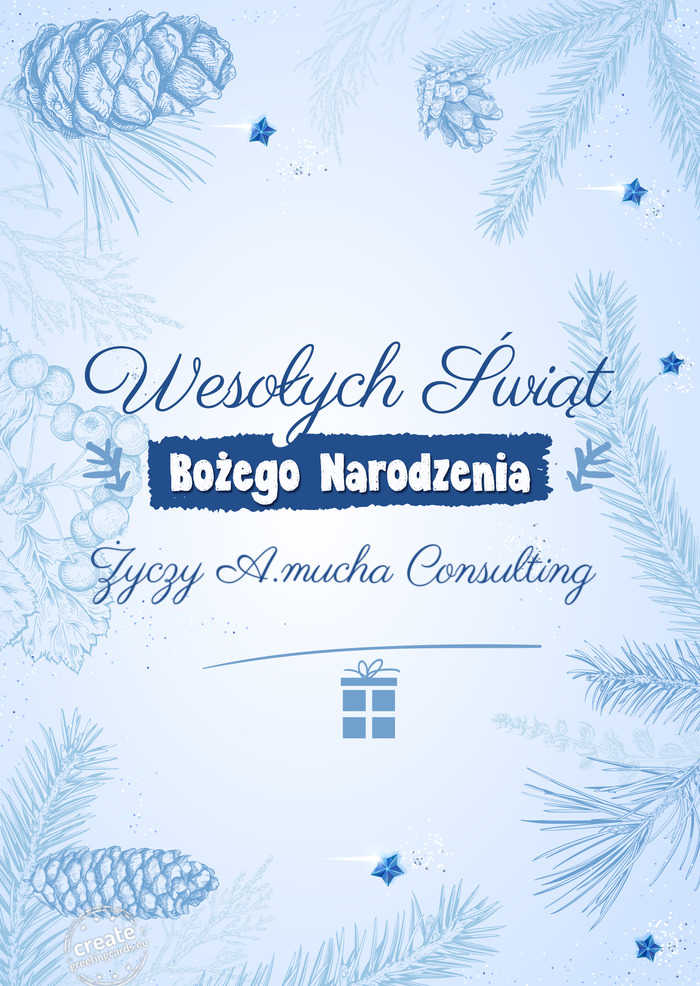 A.mucha Consulting