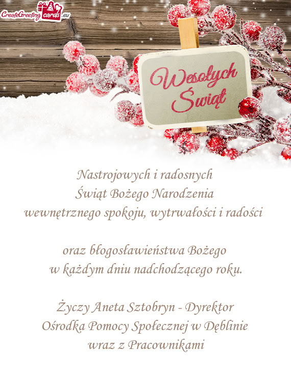 Aneta Sztobryn - Dyrektor