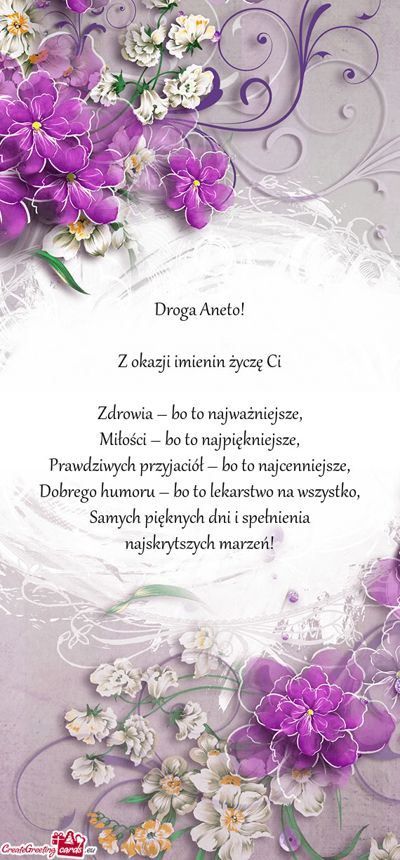 Aneto! Z
