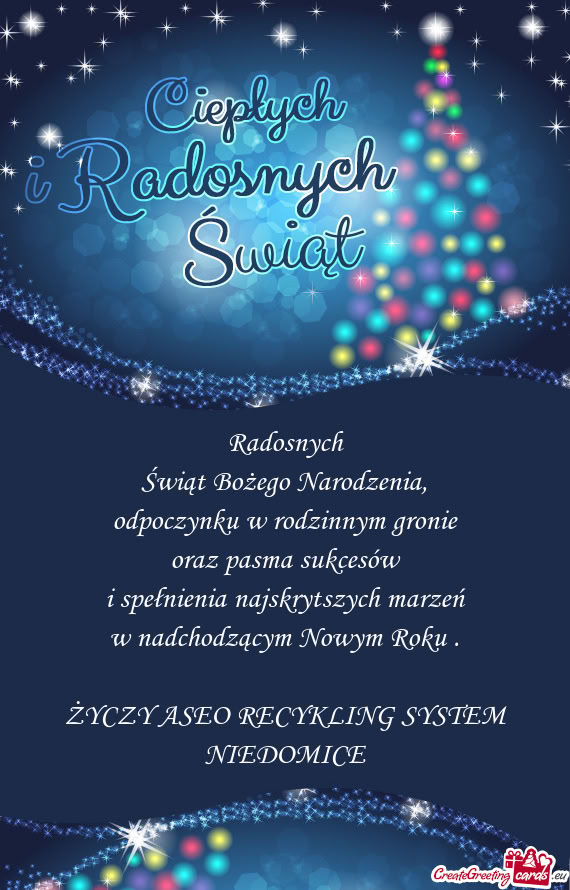 ASEO RECYKLING SYSTEM NIEDOMICE