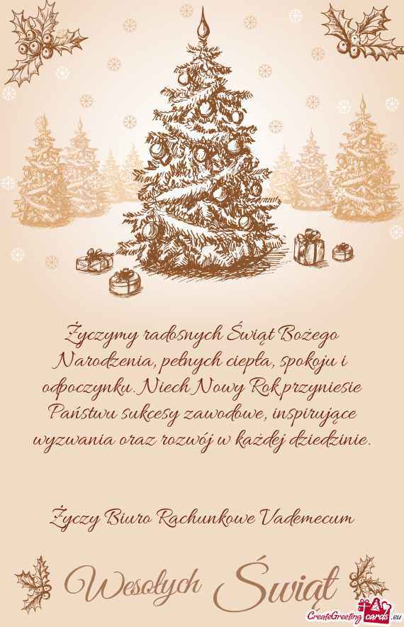 Biuro Rachunkowe Vademecum