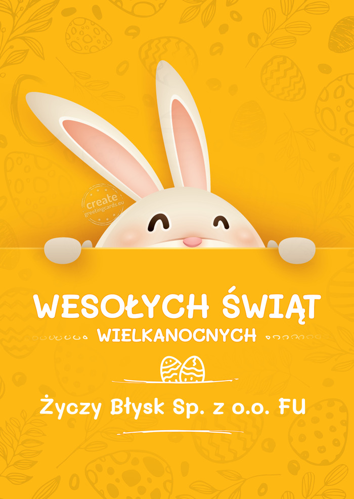 Błysk Sp. z o.o. FU