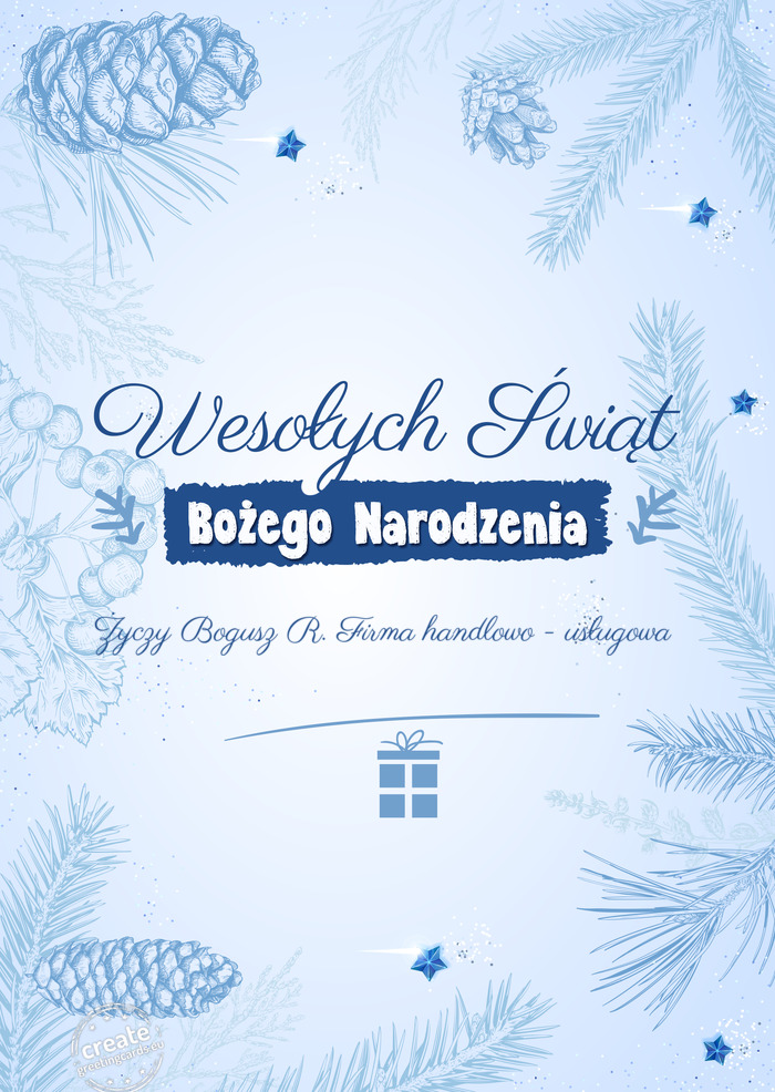 Bogusz R. Firma handlowo - usługowa