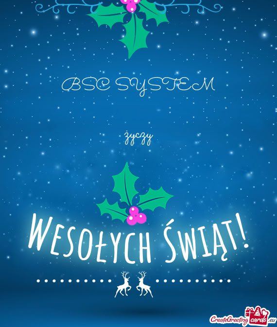 BSC SYSTEM życzy