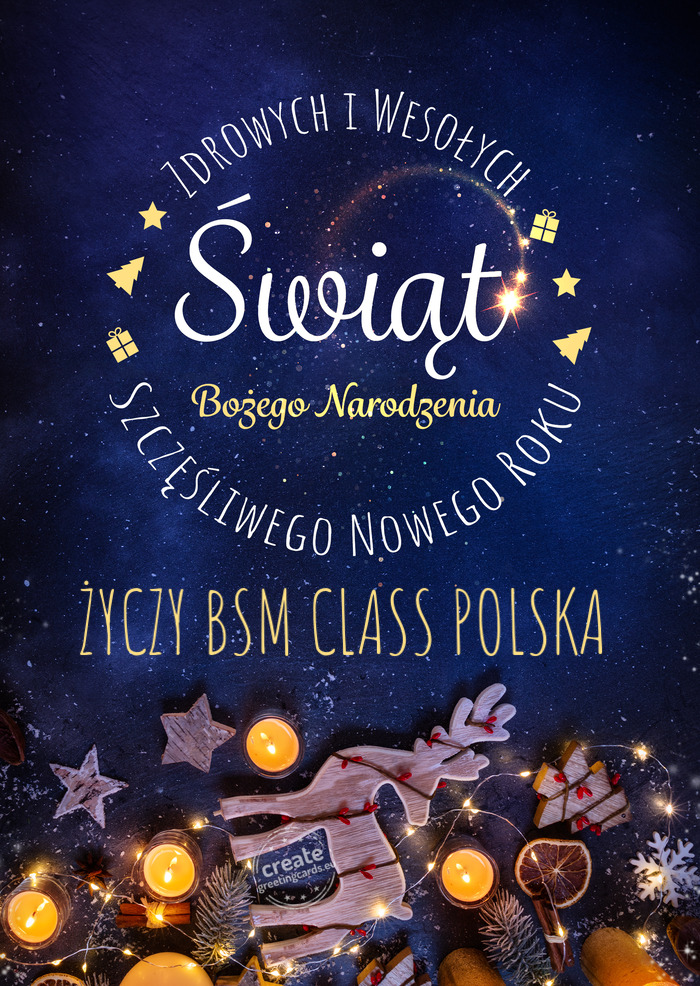 BSM CLASS POLSKA