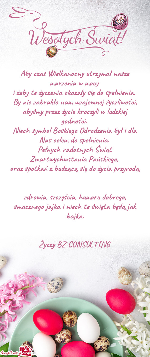 BZ CONSULTING