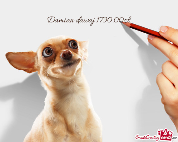 Damian dawaj 1790.00zł