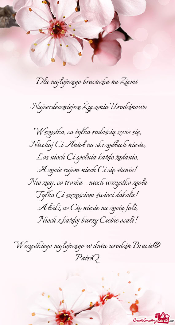 Dla najlepszego braciszka na Ziemi☆