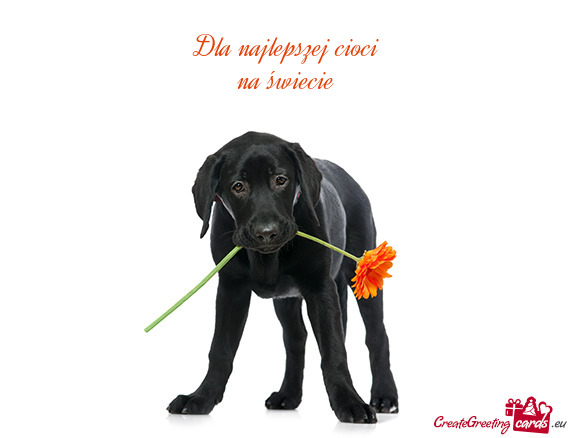 Dla najlepszej cioci