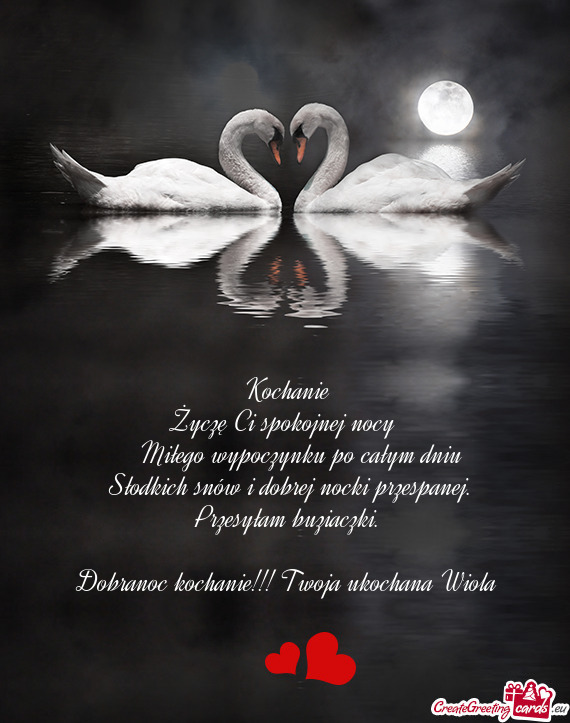 Dobranoc kochanie!!! Twoja ukochana Wiola