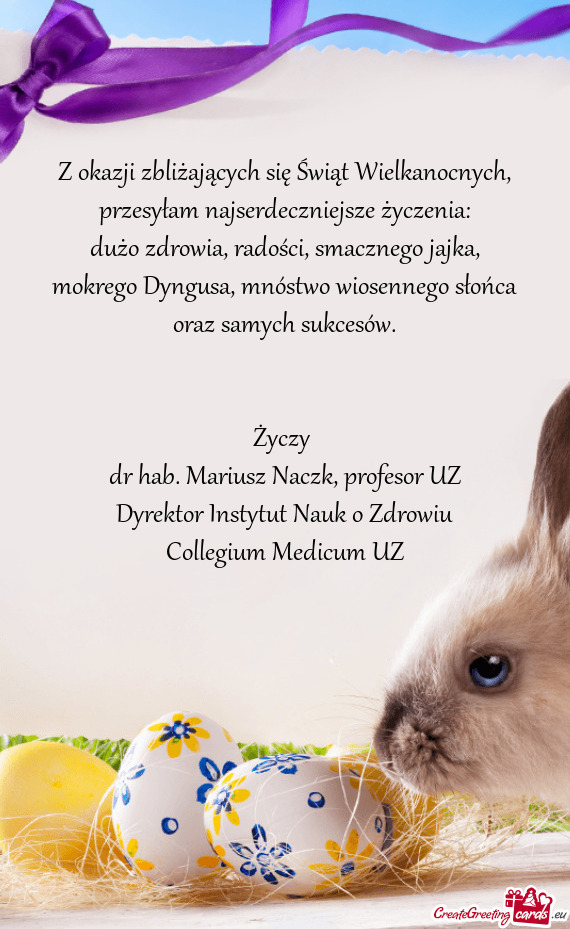 Dr hab. Mariusz Naczk, profesor UZ