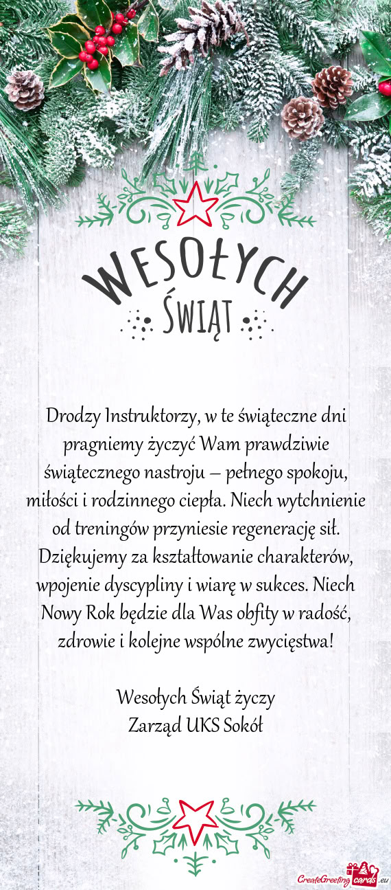 Drodzy Instruktorzy, w te świąteczne dni pragniemy życzyć Wam prawdziwie świątecznego nastroju