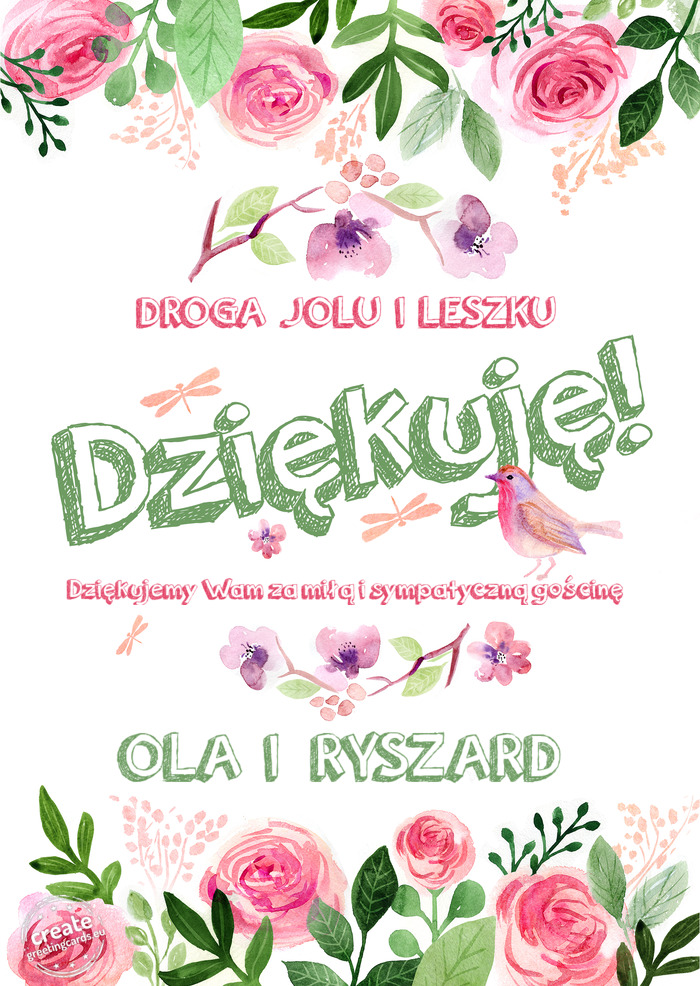 DROGA JOLU I LESZKU Dziękuje Dziękujemy Wam za miłą i sympatyczną gościnę OLA I RYSZA