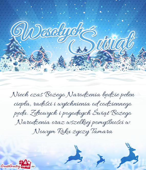 Drowych i pogodnych Świąt Bożego Narodzenia oraz wszelkiej pomyślności w Nowym Roku Tama
