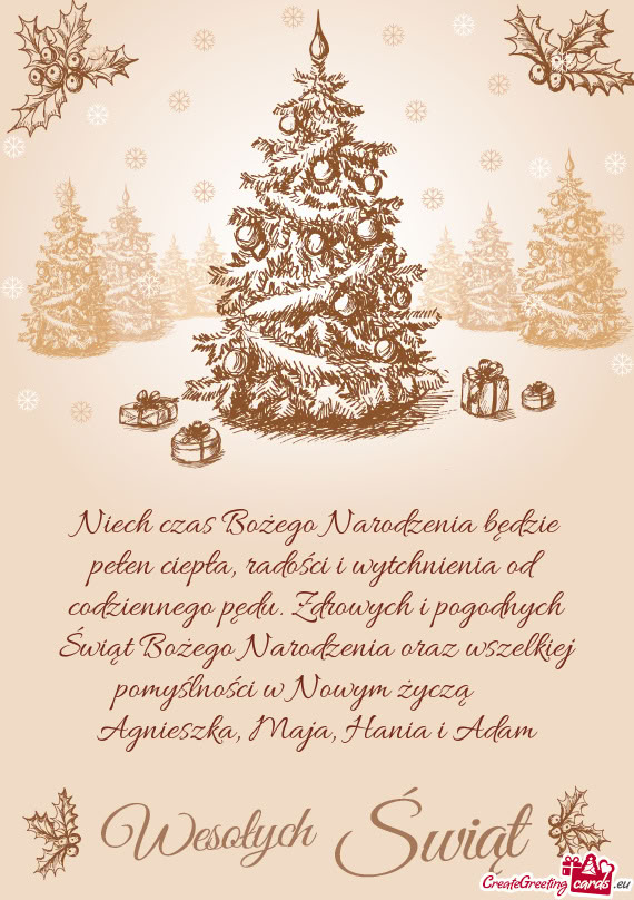 Drowych i pogodnych Świąt Bożego Narodzenia oraz wszelkiej pomyślności w Nowym życzą  Ag