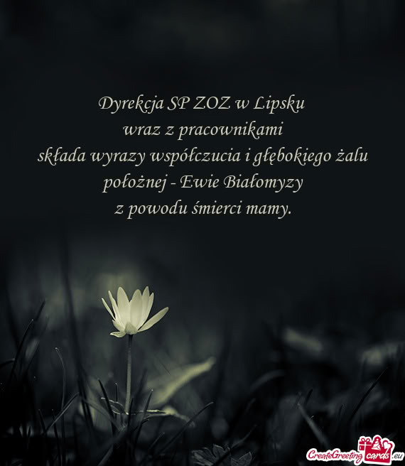 Dyrekcja SP ZOZ w Lipsku