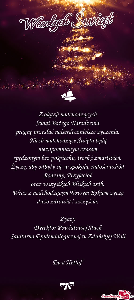 Dyrektor Powiatowej Stacji Sanitarno-Epidemiologicznej w Zduńskiej Woli Ewa Hetlof