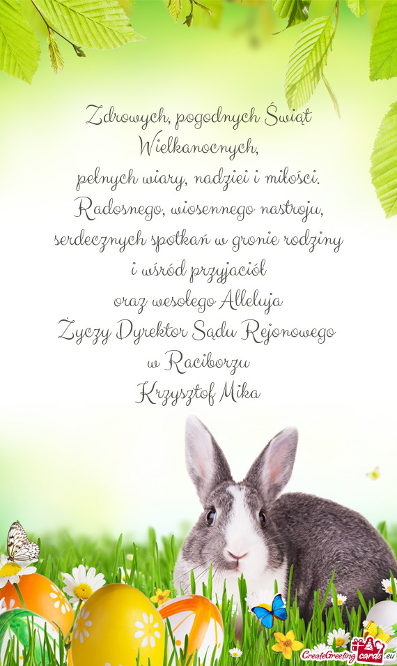 Dyrektor Sądu Rejonowego