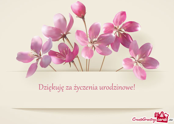 Dziękuję za życzenia urodzinowe!