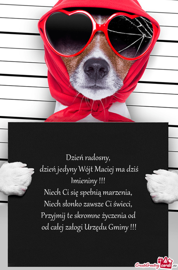 Dzień jedyny Wójt Maciej ma dziś Imieniny