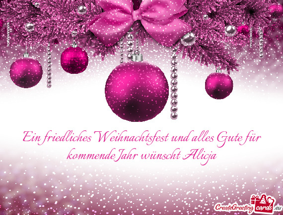 Ein friedliches Weihnachtsfest und alles Gute für kommende Jahr wünscht Alicja