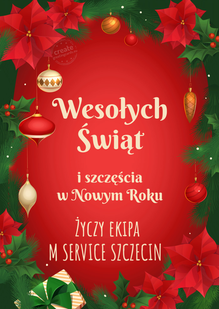 Ekipa M SERVICE SZCZECIN