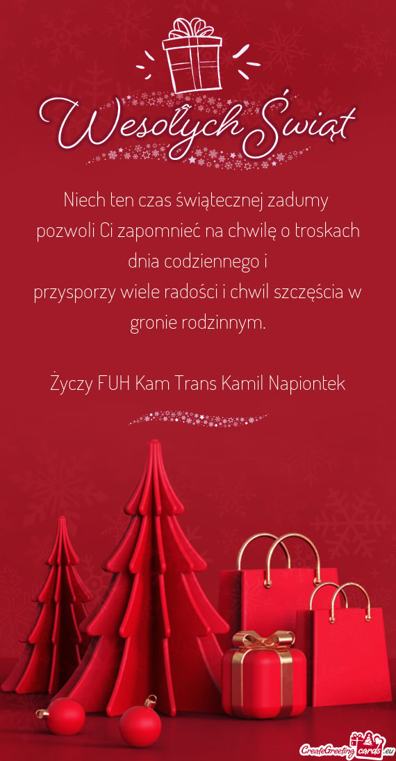 FUH Kam Trans Kamil Napiontek