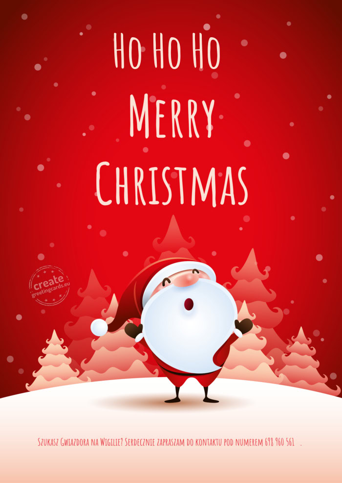 Ho Ho Ho Szukasz Gwiazdora na Wigilie? Serdecznie zapraszam do kontaktu pod numerem 698 960 561