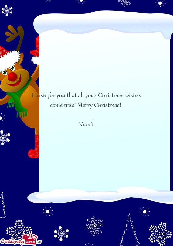 I wish for you that all your Christmas wishes come true! Merry Christmas! 
 
 Kamil