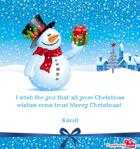 I wish for you that all your Christmas wishes come true!