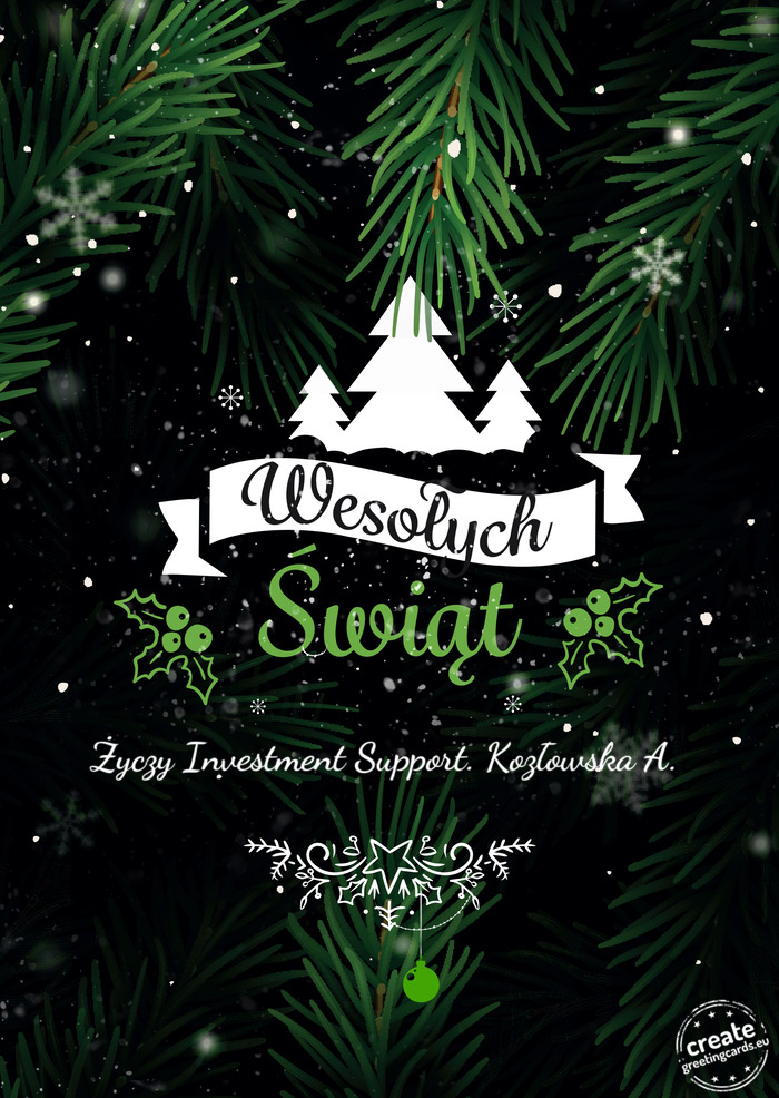 Investment Support. Kozłowska A.