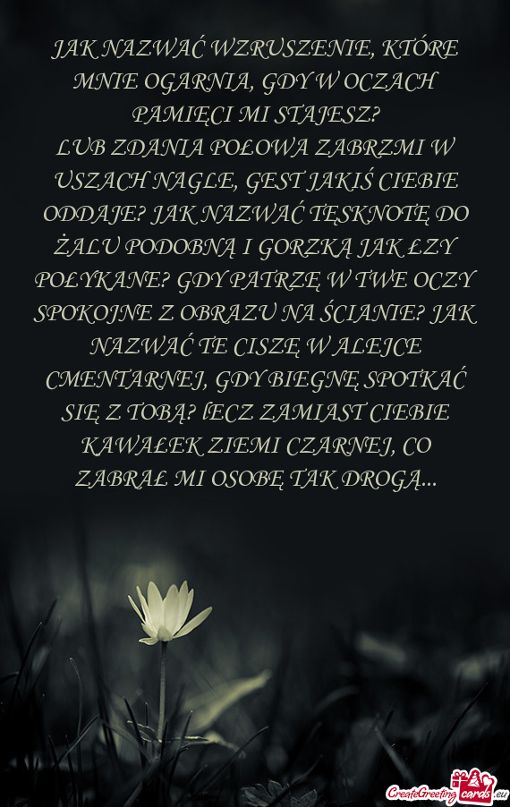 JAK NAZWAĆ WZRUSZENIE, KTÓRE MNIE OGARNIA, GDY W OCZACH PAMIĘCI MI STAJESZ