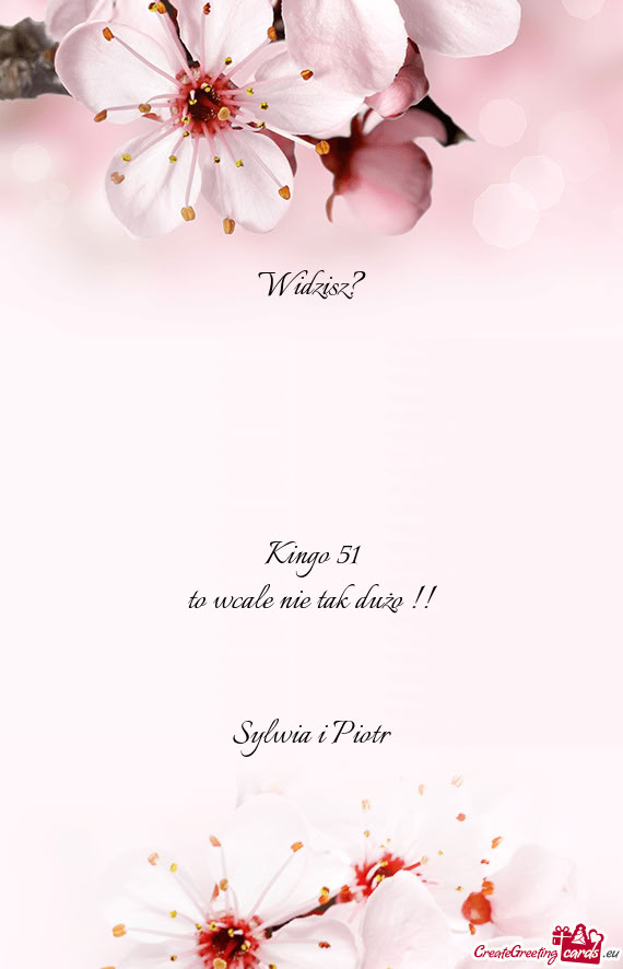 Kingo 51