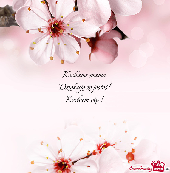 Kochana mamo Dziękuję że jesteś! Kocham cię ! ❤️🥰❤️