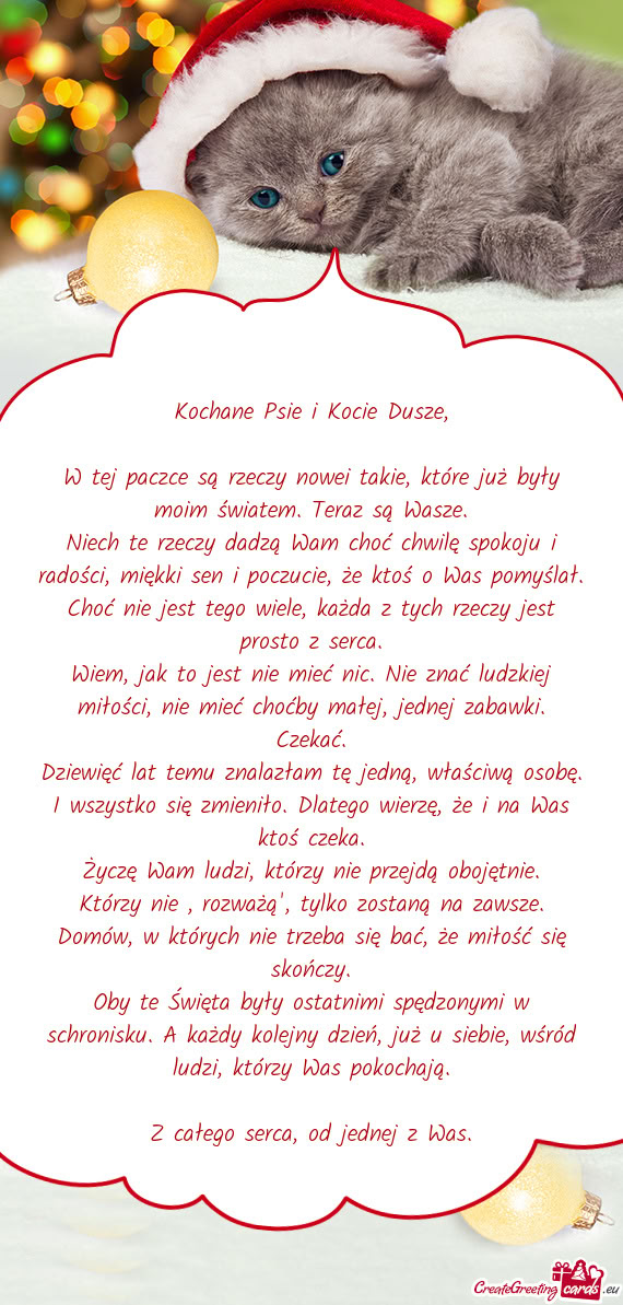 Kochane Psie i Kocie Dusze