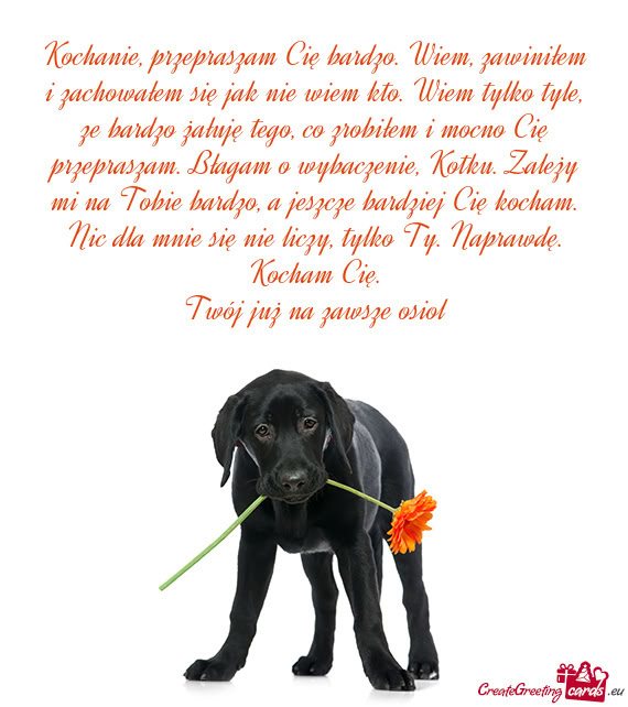 Kochanie, przepraszam Cię bardzo. Wiem, zawiniłem i zachowałem się jak nie wiem kto. Wiem tylko