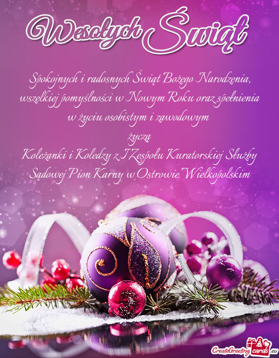 Koleżanki i Koledzy z I Zespołu Kuratorskiej Służby Sądowej Pion Karny w Ostrowie Wielkopolskim