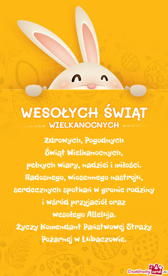 Komendant Państwowej Straży Pożarnej w Lubaczowie